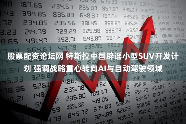 股票配资论坛网 特斯拉中国辟谣小型SUV开发计划 强调战略重心转向AI与自动驾驶领域