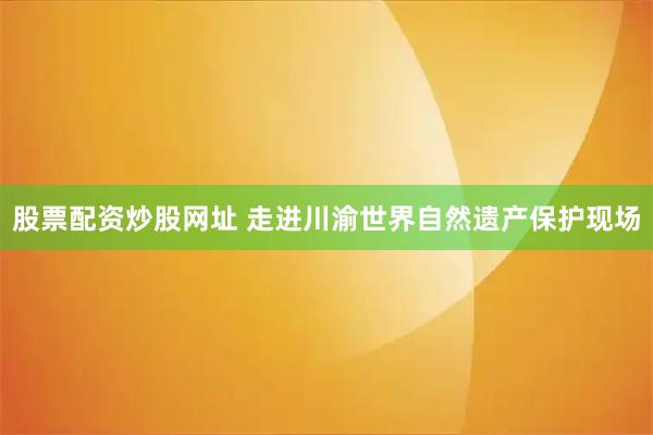 股票配资炒股网址 走进川渝世界自然遗产保护现场