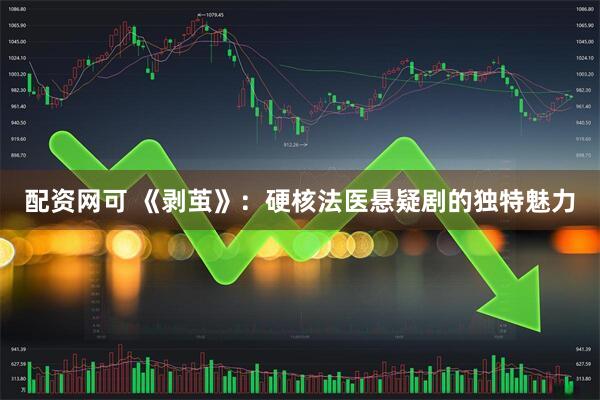 配资网可 《剥茧》：硬核法医悬疑剧的独特魅力
